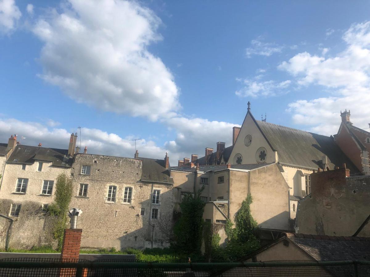 Cote Chateau - Grand Appartement Au Coeur De Blois Exteriér fotografie