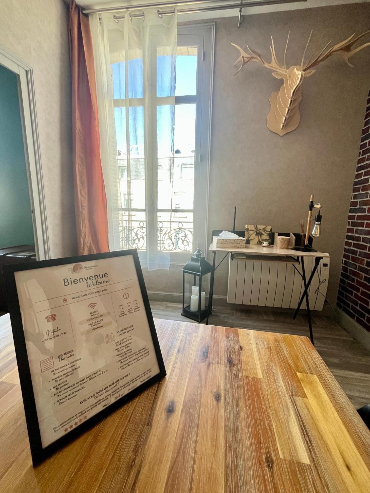 Cote Chateau - Grand Appartement Au Coeur De Blois Exteriér fotografie